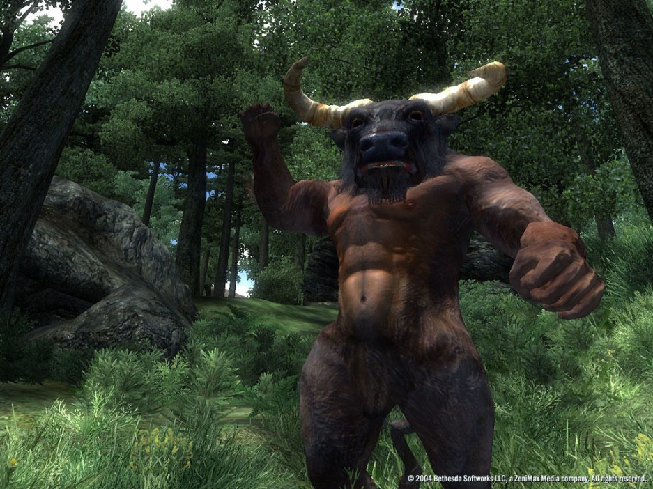 The Elder Scrolls IV : Oblivion