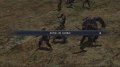 The Last Remnant