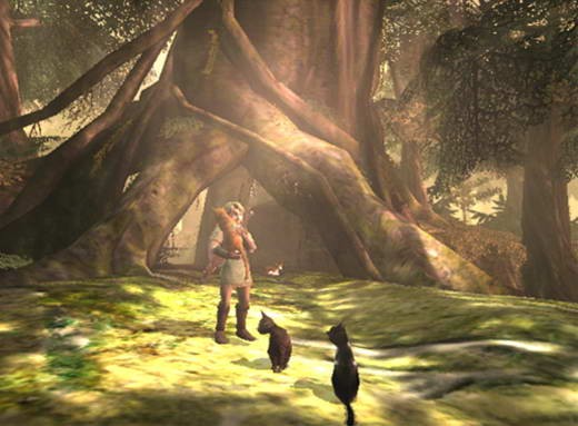 The Legend of Zelda : Twilight Princess