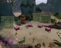 Dossier : Ryzom Ring