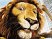 The Wild : des images GBA