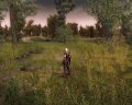 The Witcher en images