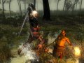 The Witcher : le plein d'images