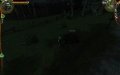 The Witcher