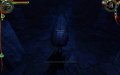The Witcher