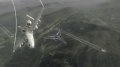 TGS 08 > Hawx au septi�me ciel