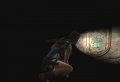 Tomb Raider : les premi�res images Wii