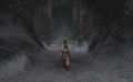 Tomb Raider Anniversary