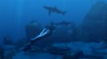 E3 08 > Tomb Raider Underworld illustr�