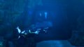 E3 08 > Tomb Raider Underworld illustr�