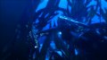 E3 08 > Tomb Raider Underworld illustr�