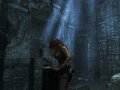 Tomb Raider Underworld : 39 de plus