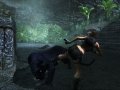 Tomb Raider Underworld : 39 de plus