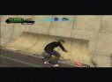 Tony Hawk's American Wasteland