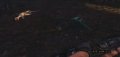 Turok