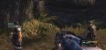 Turok