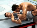Nouveaux screens d'UFC 2009 Undisputed