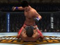 Deux vid�os pour UFC 2009 Undisputed