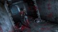 Velvet Assassin prend la pose