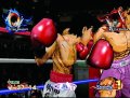 Victorious Boxers Challenge