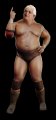 WWE Legends of Wrestlemania : le roster