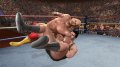 Legends of Wrestlemania en 114 visuels