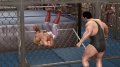 WWE Legends of Wrestlemania s'exhibe