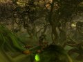 Warhammer Online revient frapper