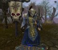 Warhammer Online : images et artworks