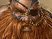 Warhammer Online : 500 000 inscrits