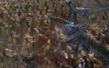 E3 08 > Warhammer : BM part en guerre