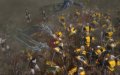 E3 08 > Warhammer : BM part en guerre