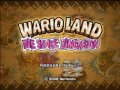 Wario Land : The Shake Dimension