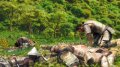 Way of The Samurai 3 : premier trailer