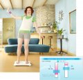 GC 07 > Wii Fit