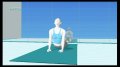 Wii Fit