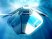 WipEout Pulse : nouveaux screens