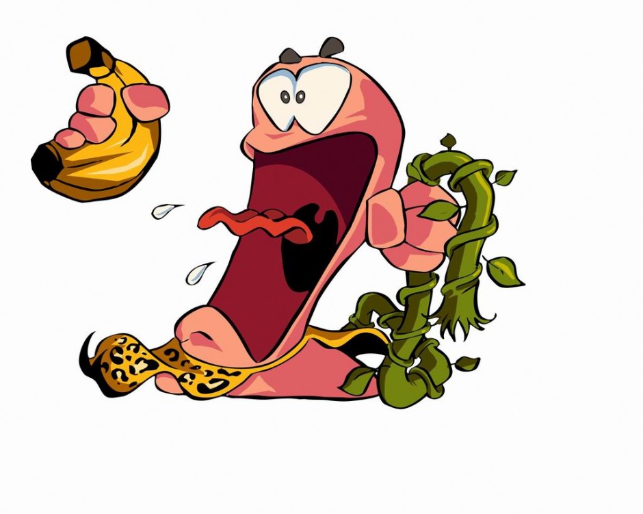 Worms Open Warfare