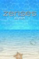 Zenses Ocean arrive sur DS