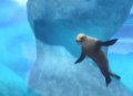 Majesco annonce Zoo Hospital sur Wii