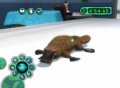Majesco annonce Zoo Hospital sur Wii