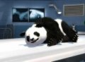 Majesco annonce Zoo Hospital sur Wii