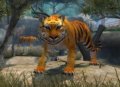 Majesco annonce Zoo Hospital sur Wii