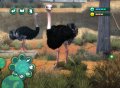 E3 08 > Zoo Hospital consulte sur place