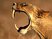 Zoo Tycoon 2 : Extinct Animals annoncé
